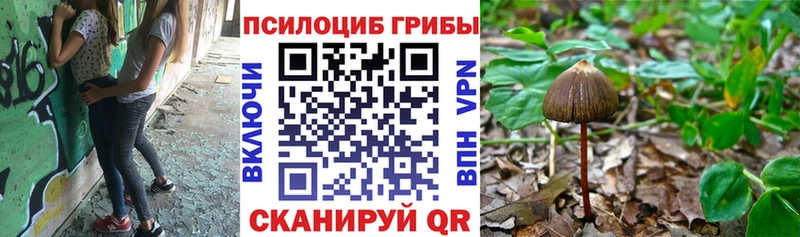 Псилоцибиновые грибы Magic Shrooms  Петров Вал 