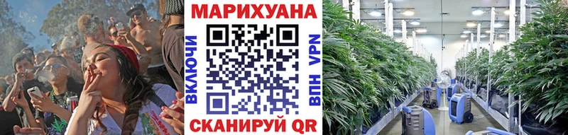 Бошки марихуана гибрид  купить наркотик  Петров Вал 